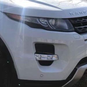 Meet your Posher, Stuardo